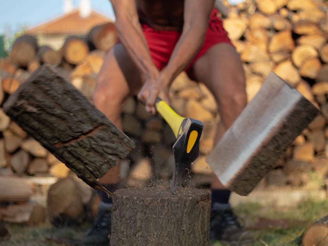 Best Tree Trimming and Pruning  in USA